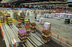 FloraHolland voorziet 270.000 stapelwagens van UHF-tags featured image
