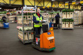FloraHolland test voice in distributieproces featured image