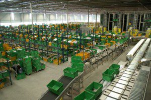 Tussenfase vraagt om aanpassingsvermogen V&D – Deel 2 featured image