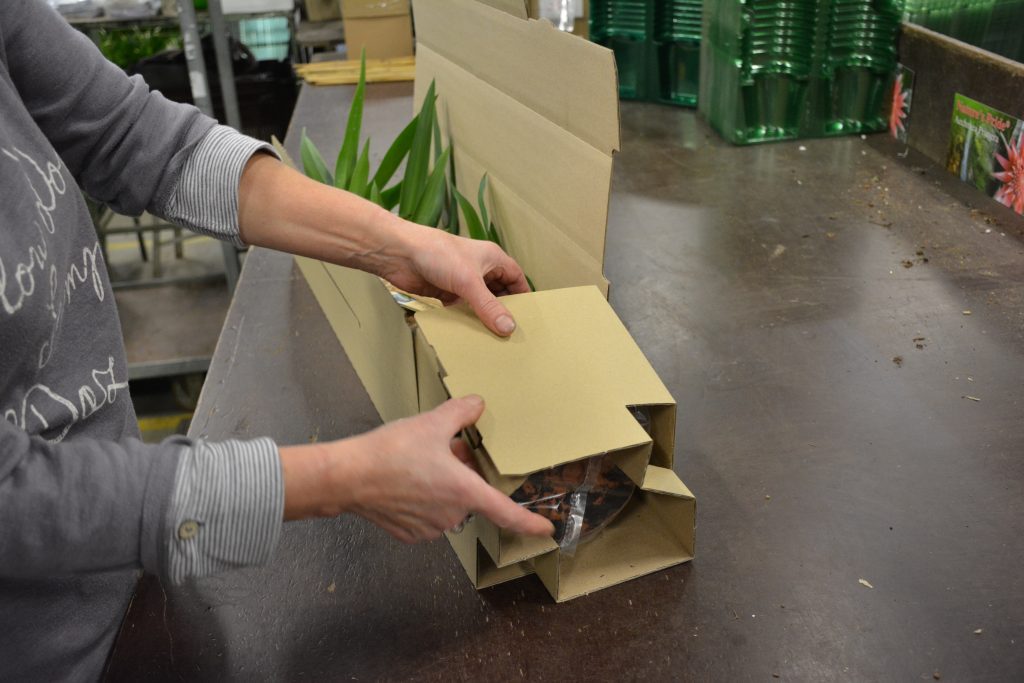 Nieuwe verzendverpakking Bakker.com featured image