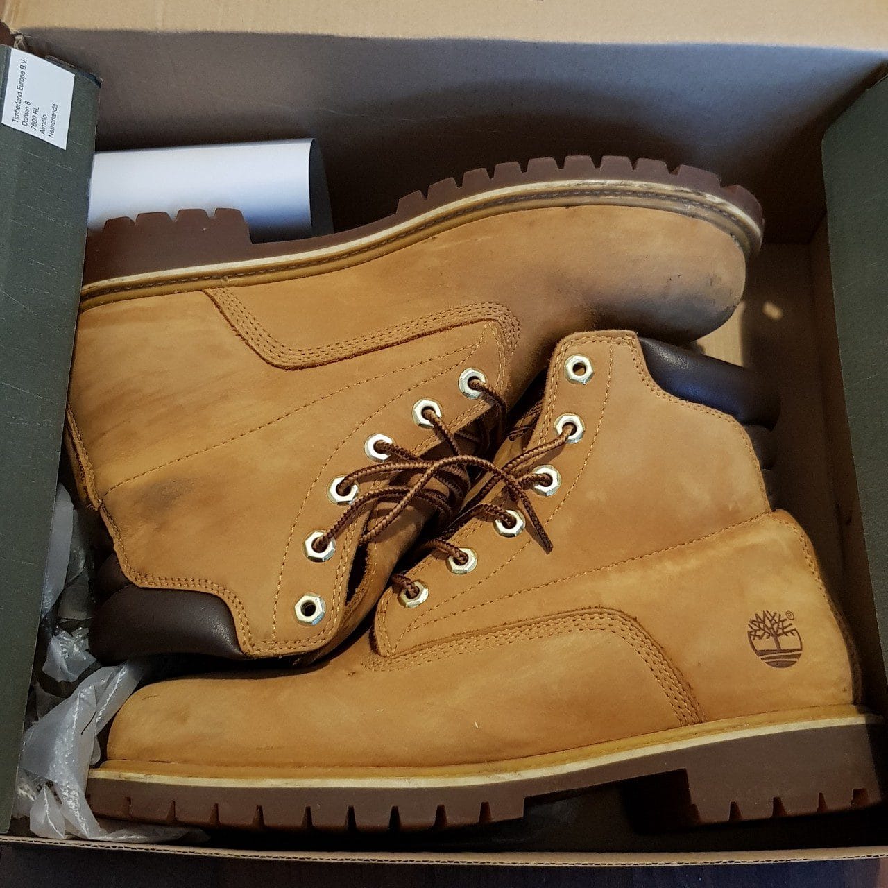 hype dc timberland