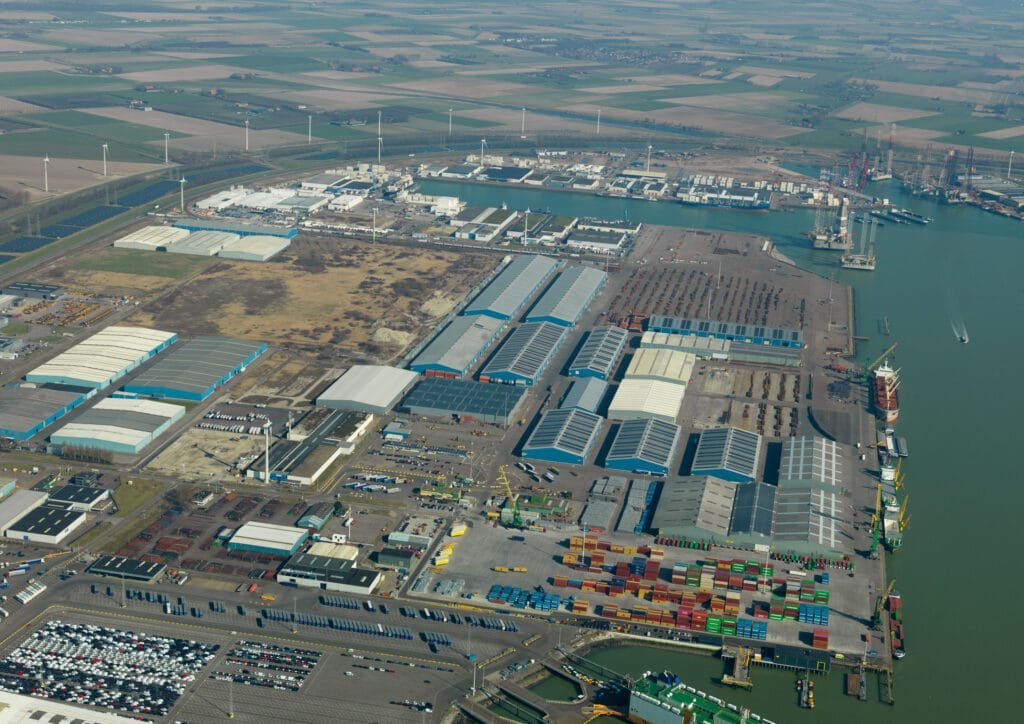 DHG verhuurt 100.000 m2 terminal aan Verbrugge featured image