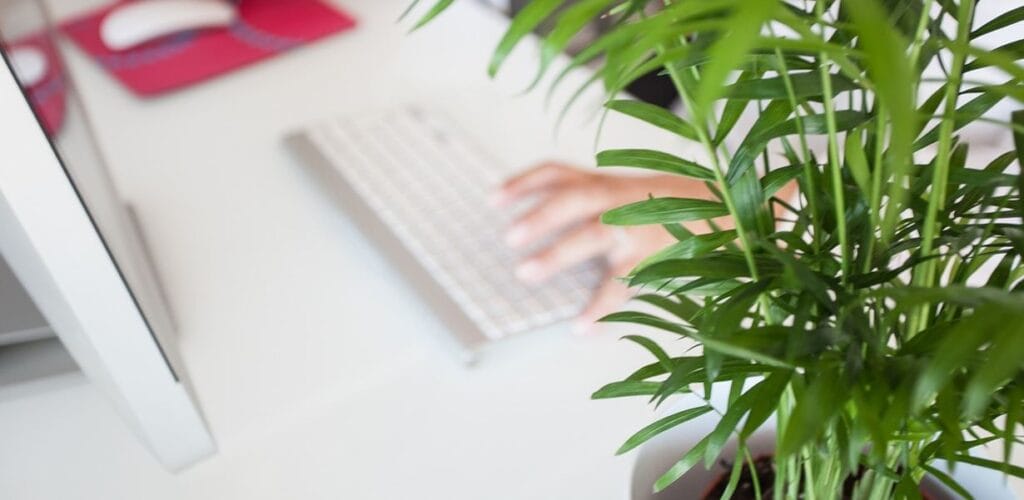 Dit moet je weten over grootzakelijke energie voor je bedrijf featured image