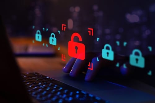 cyber