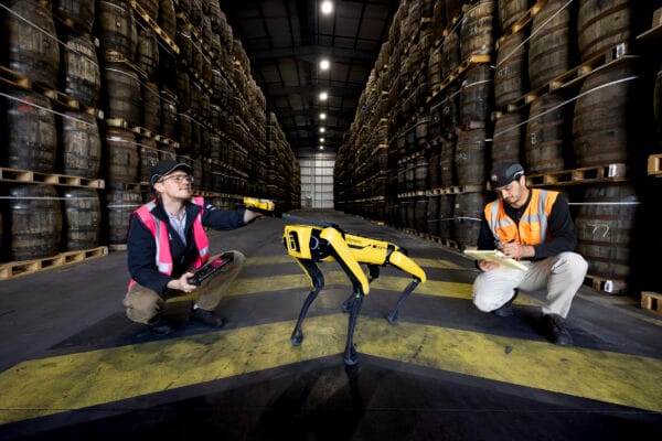 Bacardi zet robothond in om lekkage in whiskyopslag op te sporen